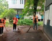 ЖЕД № 906: толока та прибирання території