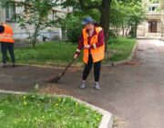ЖЕД № 904: толока та прибирання території