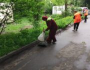 ЖЕД № 904: толока та прибирання території