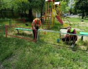 ЖЕД № 902: толока та фарбування ігрових елементів