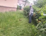 ЖЕД № 901: покос трави